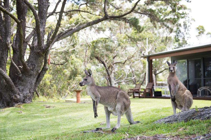 By The Beach B&b Self Contained Apartments