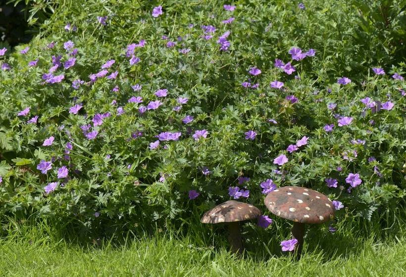 בית מלון כפרי B&b Le Plat Pays Oostkamp Brugge