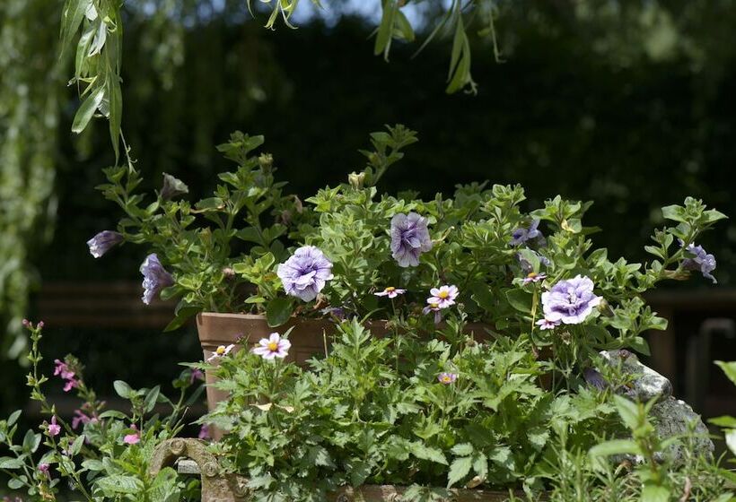 בית מלון כפרי B&b Le Plat Pays Oostkamp Brugge