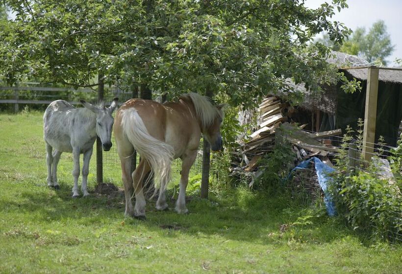 בית מלון כפרי B&b Le Plat Pays Oostkamp Brugge