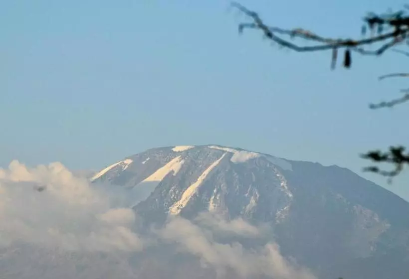 ホテル Bristol Cottages Kilimanjaro