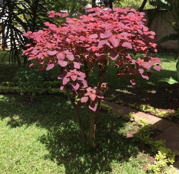 בית מלון כפרי Bristol Cottages Kilimanjaro