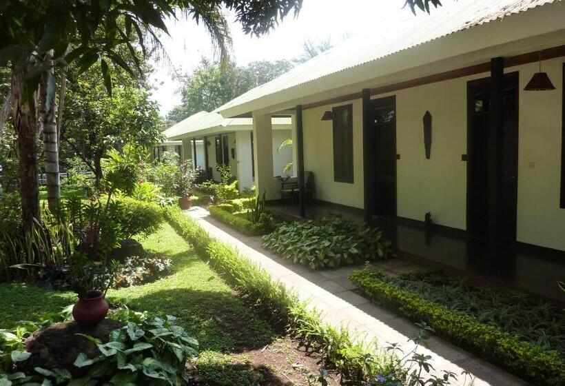 בית מלון כפרי Bristol Cottages Kilimanjaro