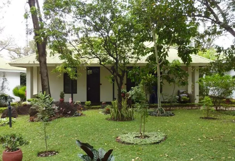 ホテル Bristol Cottages Kilimanjaro