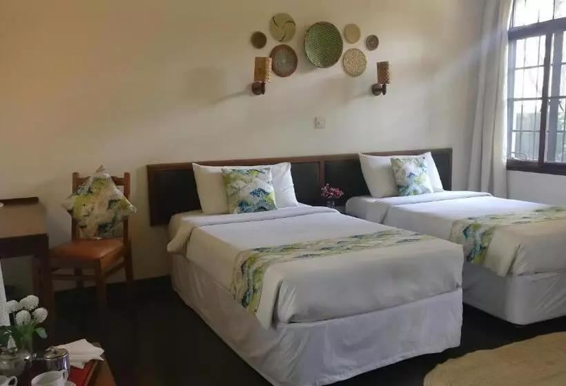 ホテル Bristol Cottages Kilimanjaro