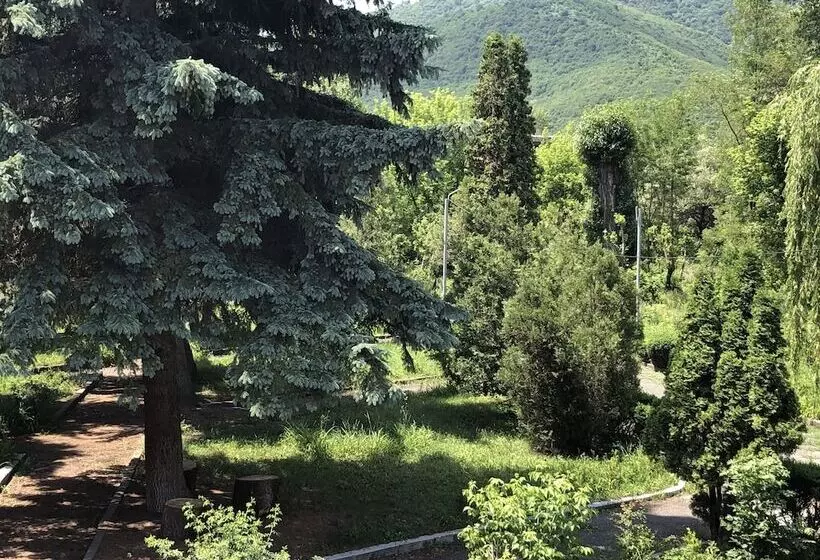 هتل Vanadzor Armenia