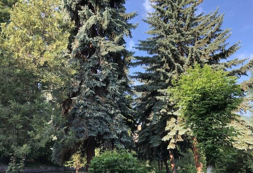 호텔 Vanadzor Armenia