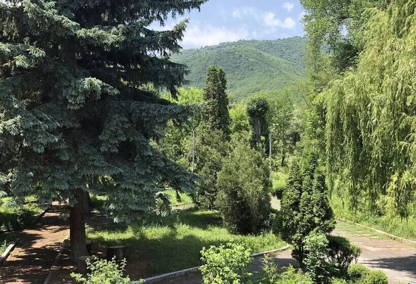 هتل Vanadzor Armenia