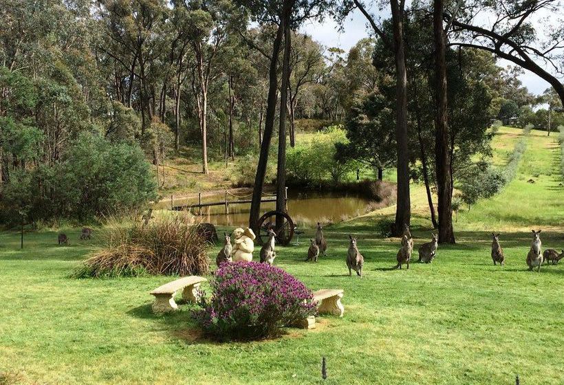 Countryside Connections Studio Hepburn Springs