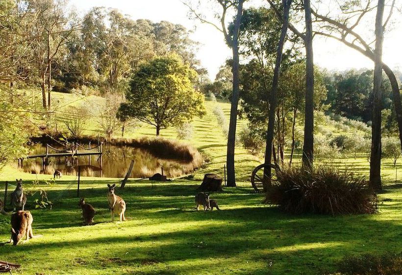 Countryside Connections Studio Hepburn Springs