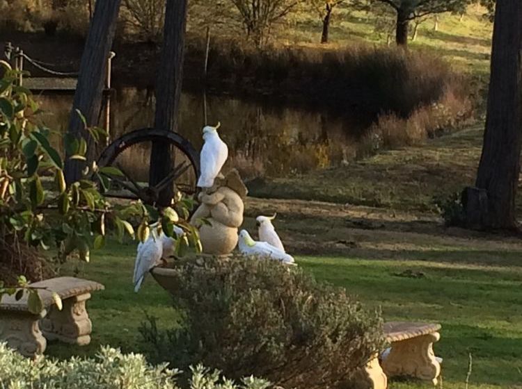 Countryside Connections Studio Hepburn Springs