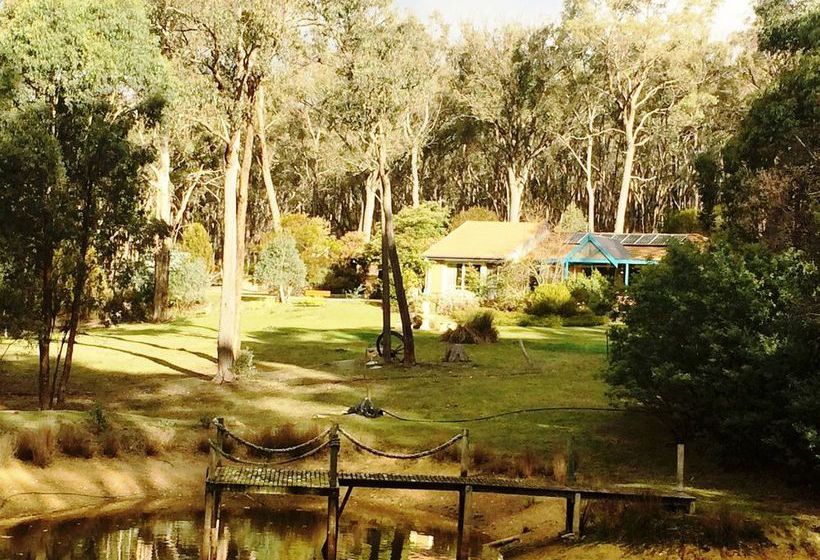 Countryside Connections Studio Hepburn Springs