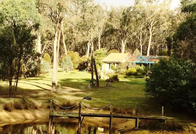 Countryside Connections Studio Hepburn Springs