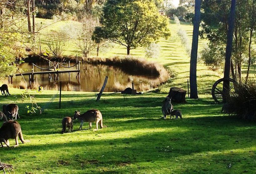 Countryside Connections Studio Hepburn Springs