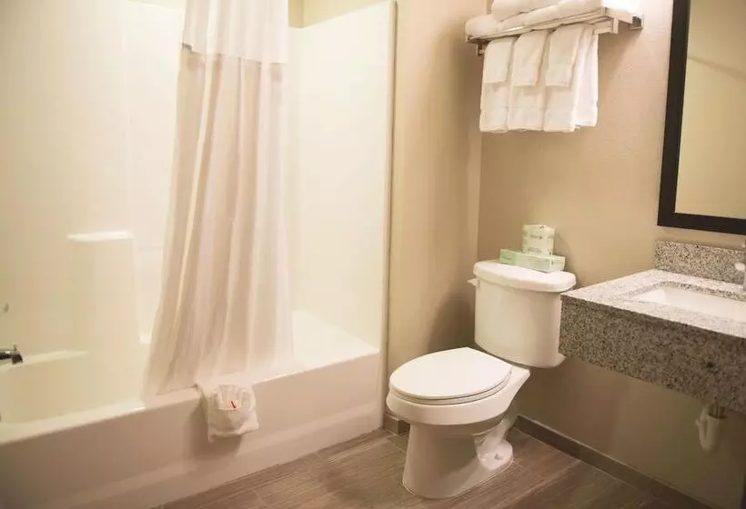 Hotelli Quality Inn & Suites