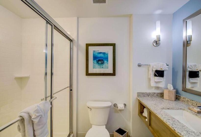 호텔 Best Western Premier   The Tides