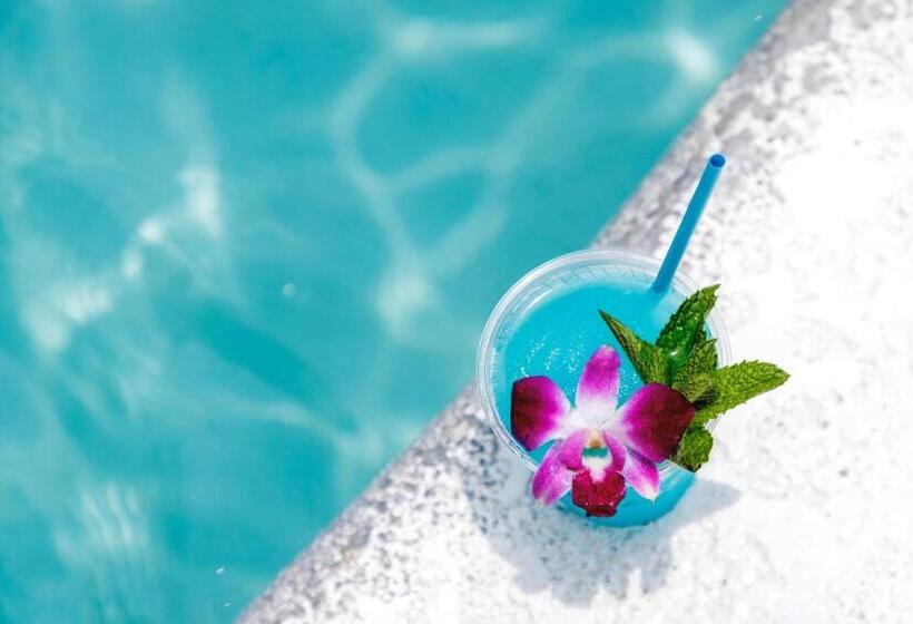 호텔 Best Western Premier   The Tides