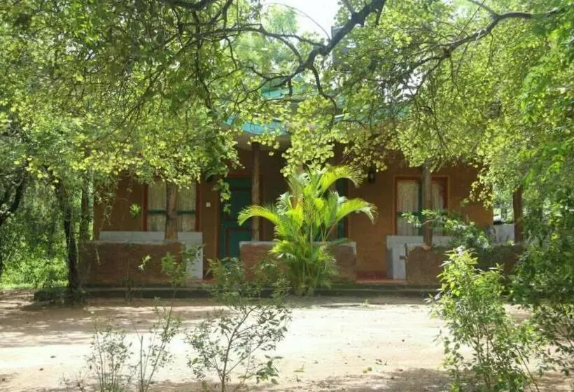 ホテル Clay Hut Village
