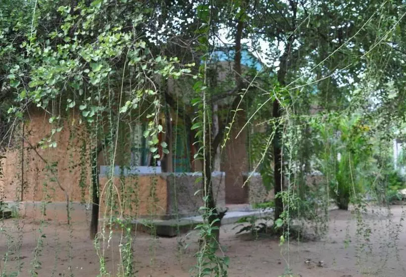 ホテル Clay Hut Village