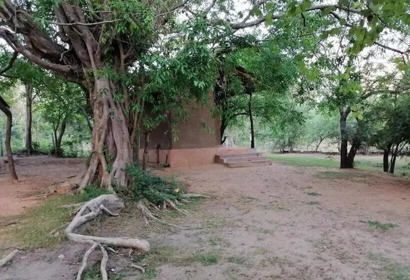 ホテル Clay Hut Village