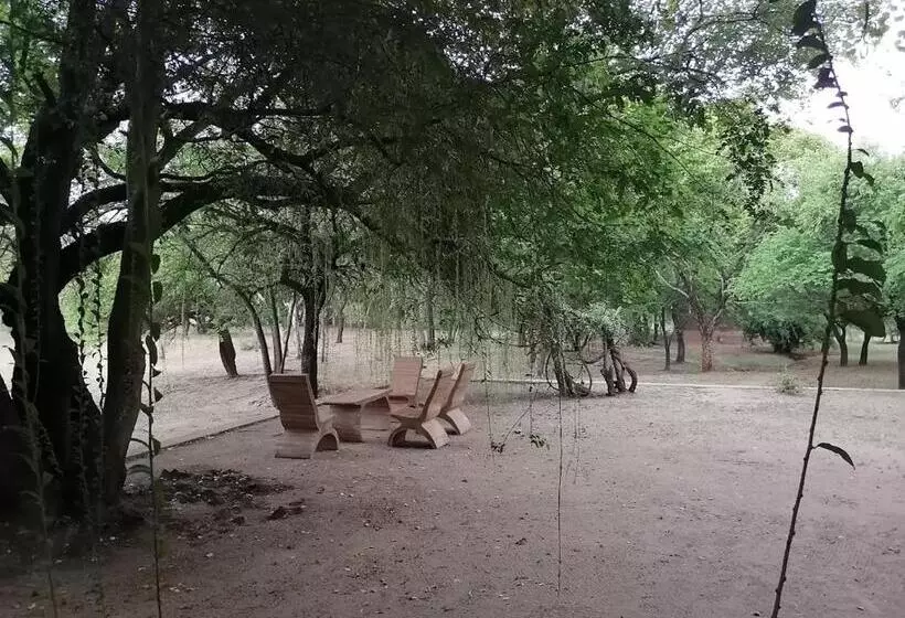 ホテル Clay Hut Village