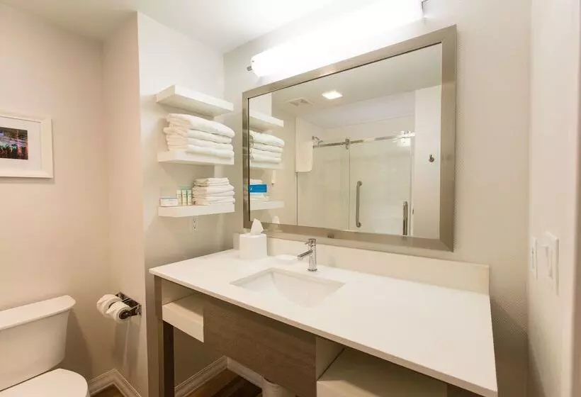 ホテル Hampton Inn Palatka