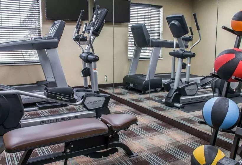 ホテル Mainstay Suites Cotulla