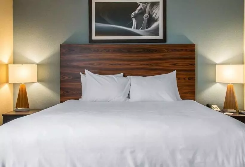 ホテル Mainstay Suites Cotulla