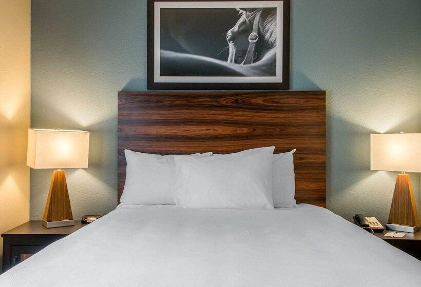 Otel Mainstay Suites Cotulla