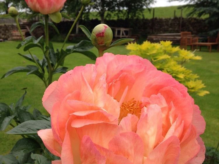 Low Hall Country House