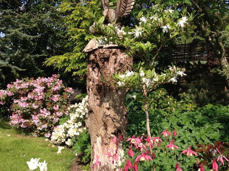 Low Hall Country House