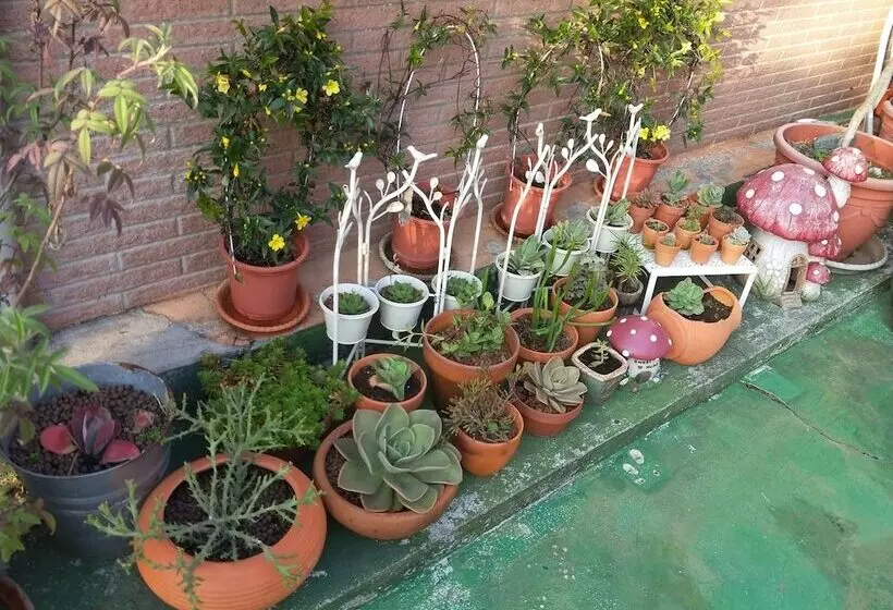 پانسیون Garden Life Homestay
