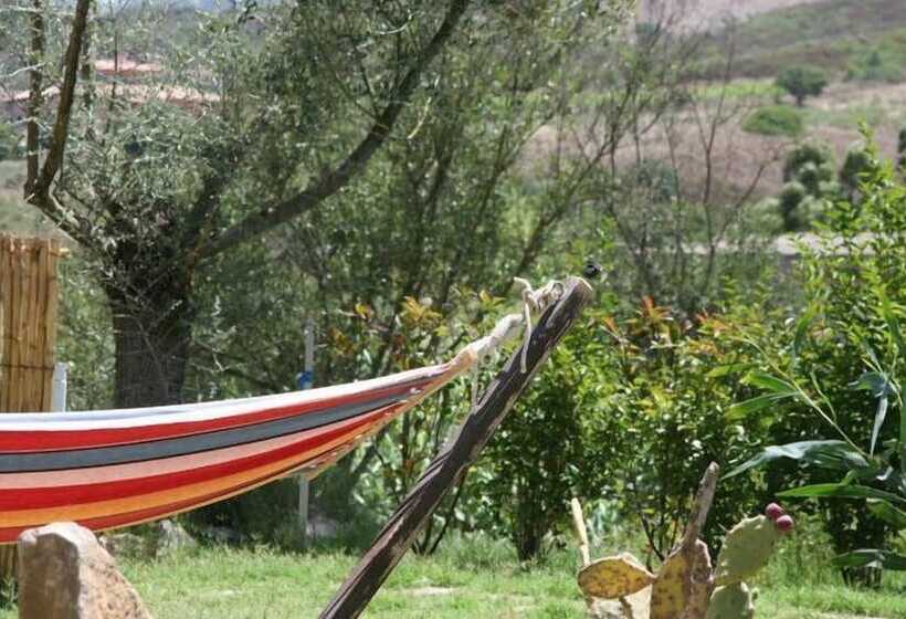 Bed and Breakfast Villa El Minero