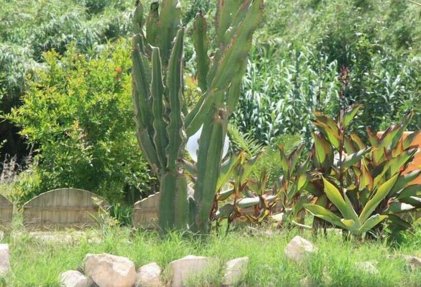 Bed and Breakfast Villa El Minero