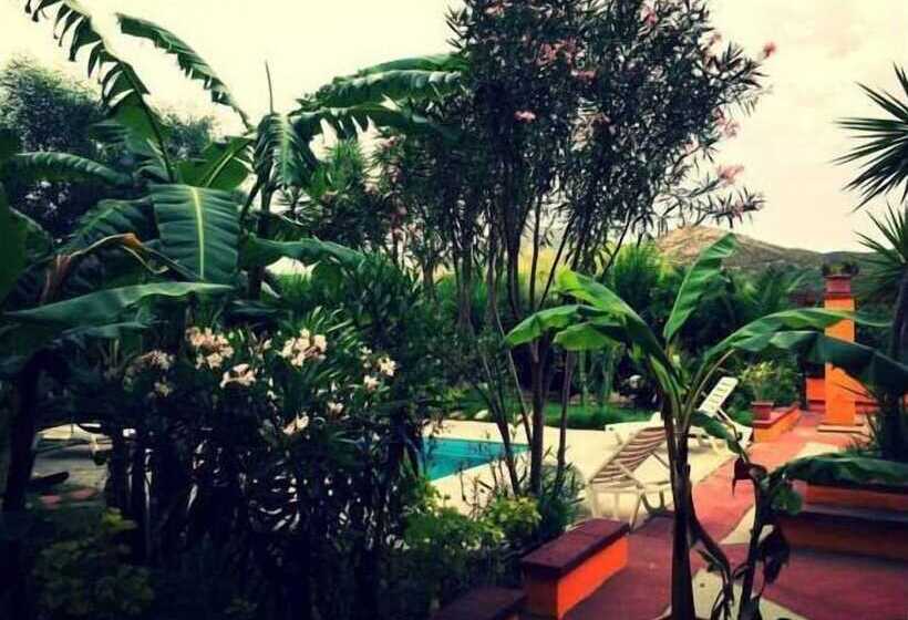 Bed and Breakfast Villa El Minero