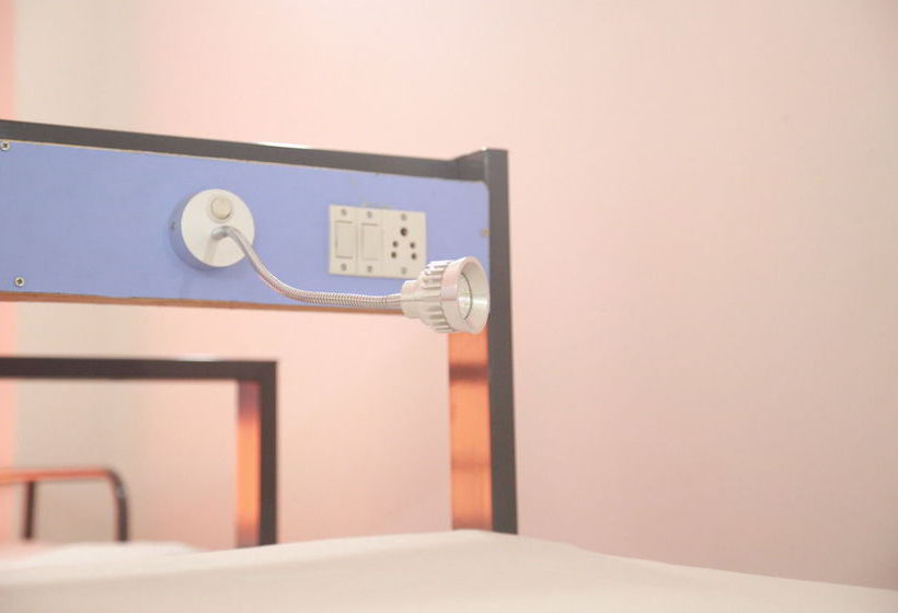 فندق صغير Backpacker Panda Jaipur