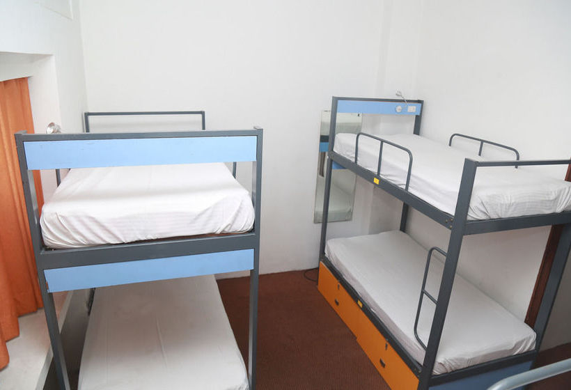 فندق صغير Backpacker Panda Jaipur