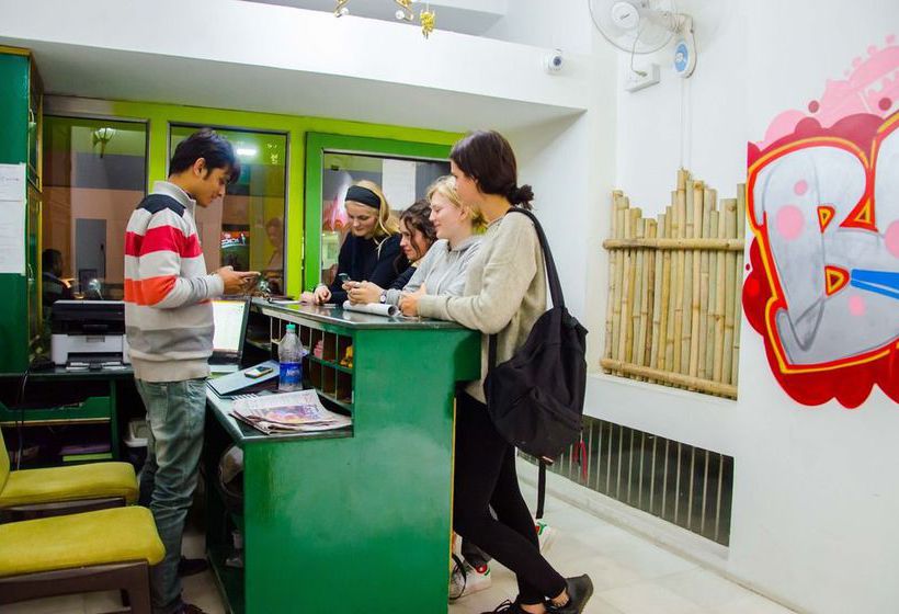 فندق صغير Backpacker Panda Jaipur