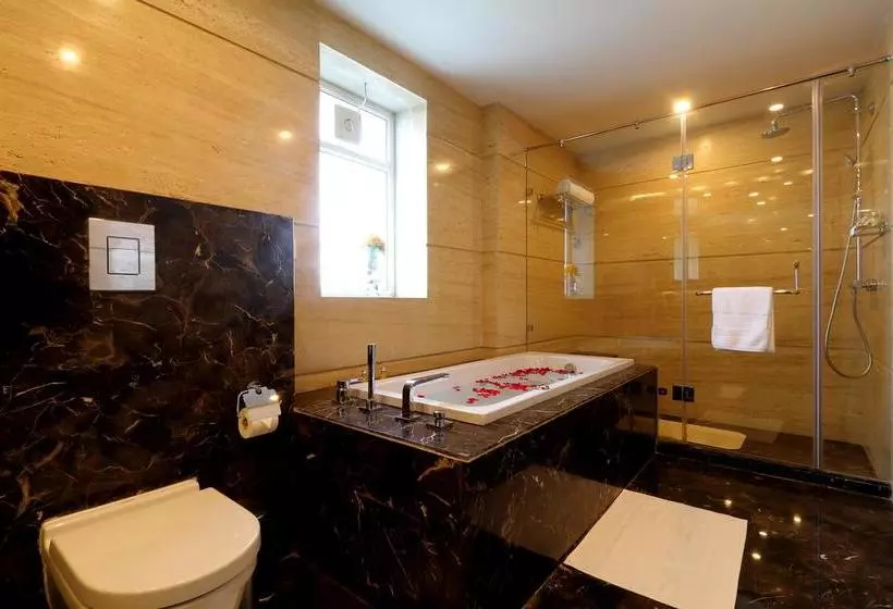 هتل Ameya Suites