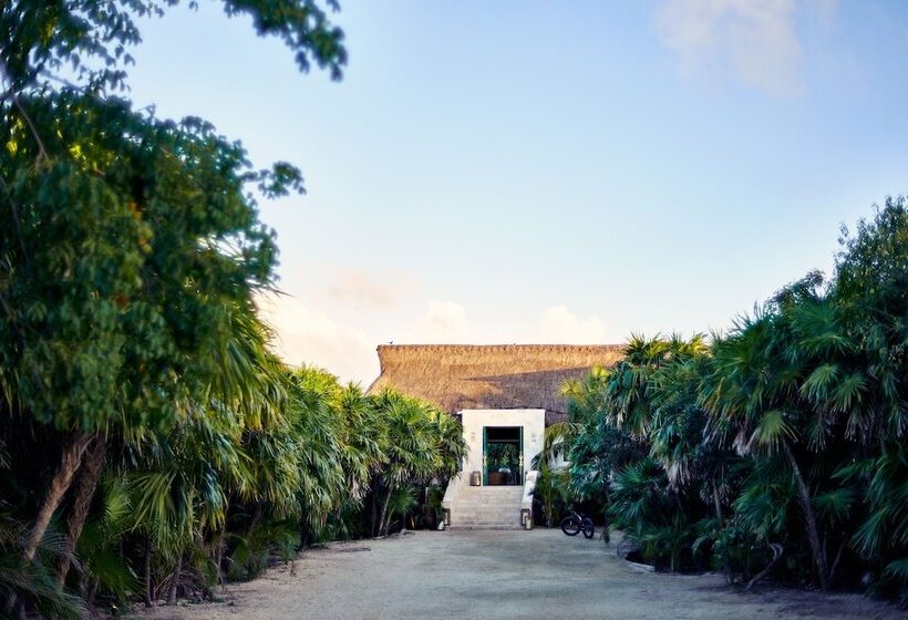 酒店 Casa Chablé Sian Ka An Reserve   South Of Tulum