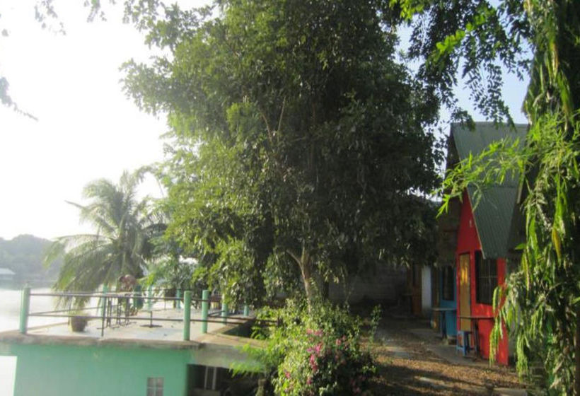 فندق Rainbow Lodge Homestay