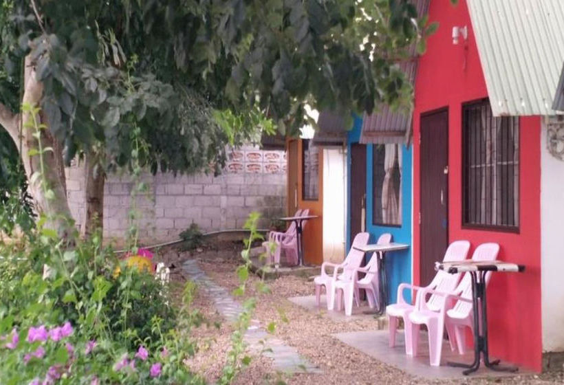 فندق Rainbow Lodge Homestay