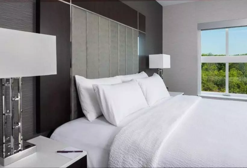 ホテル Residence Inn By Marriott Boston Concord