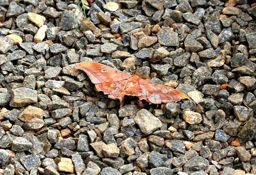 Otel Windloft Retreat