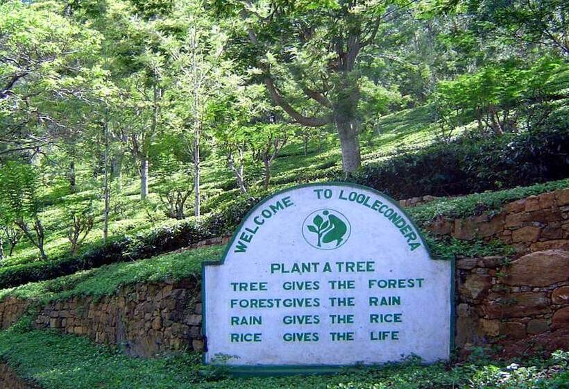 Otel Windloft Retreat