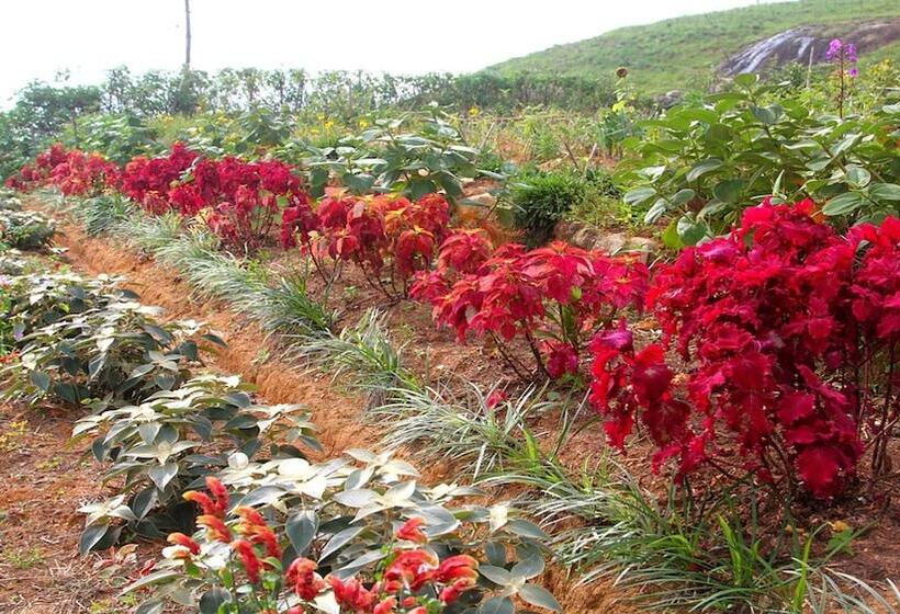 Otel Windloft Retreat