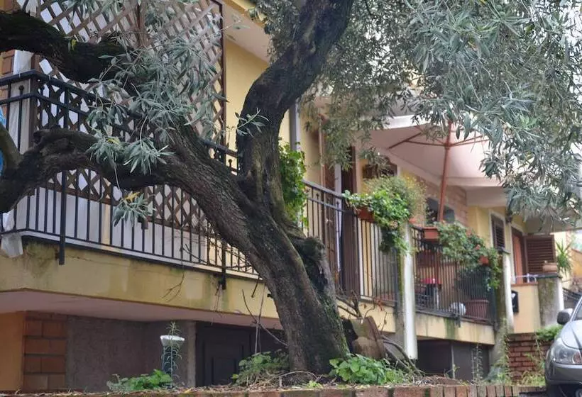 B&b La Meridiana