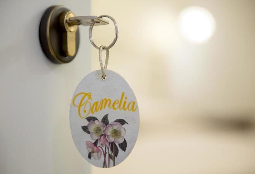 B&b Corte Dell' Immacolata