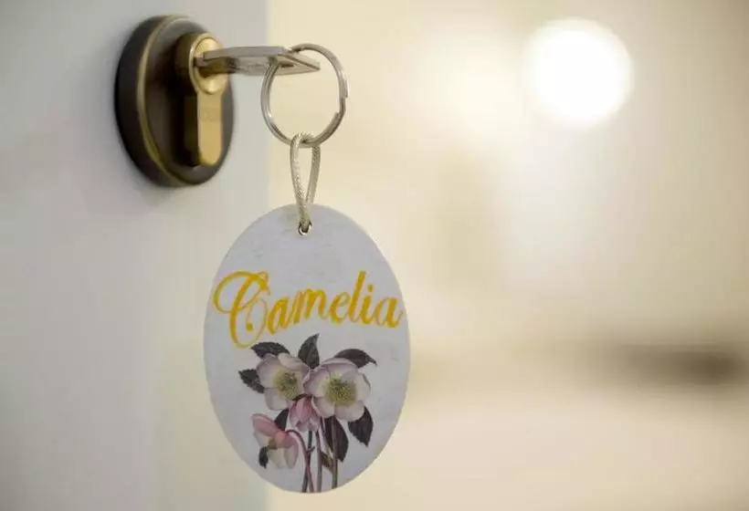 B&b Corte Dell' Immacolata
