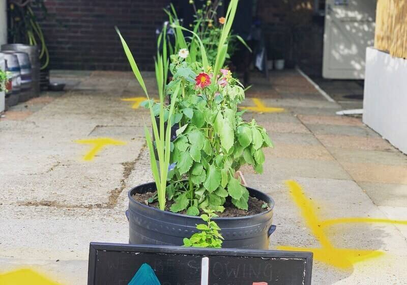 Nocleg ze śniadaniem The Wheatsheaf